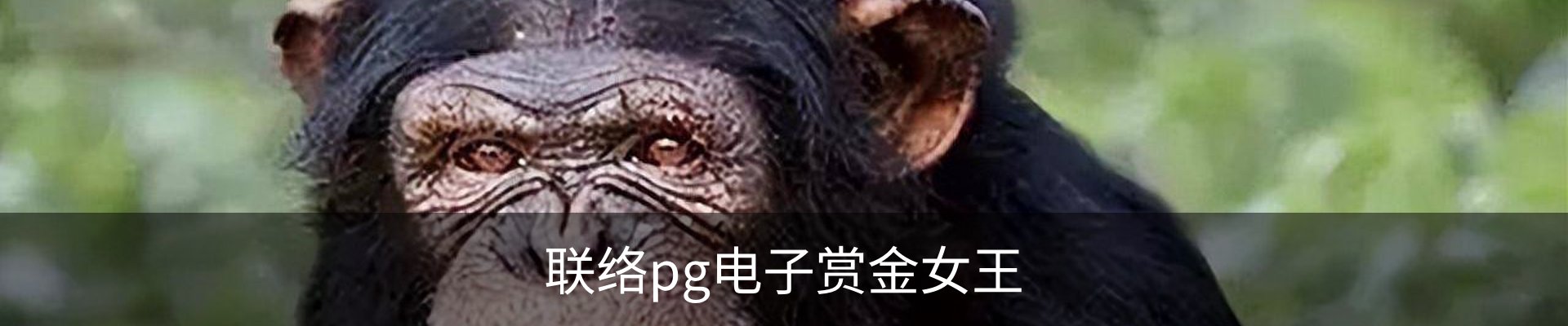 联络pg电子赏金女王